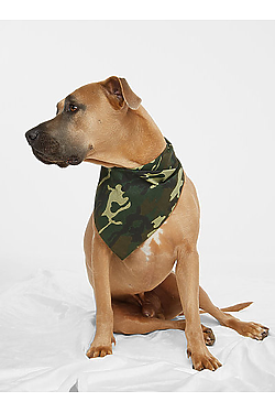 Doggie Bandana